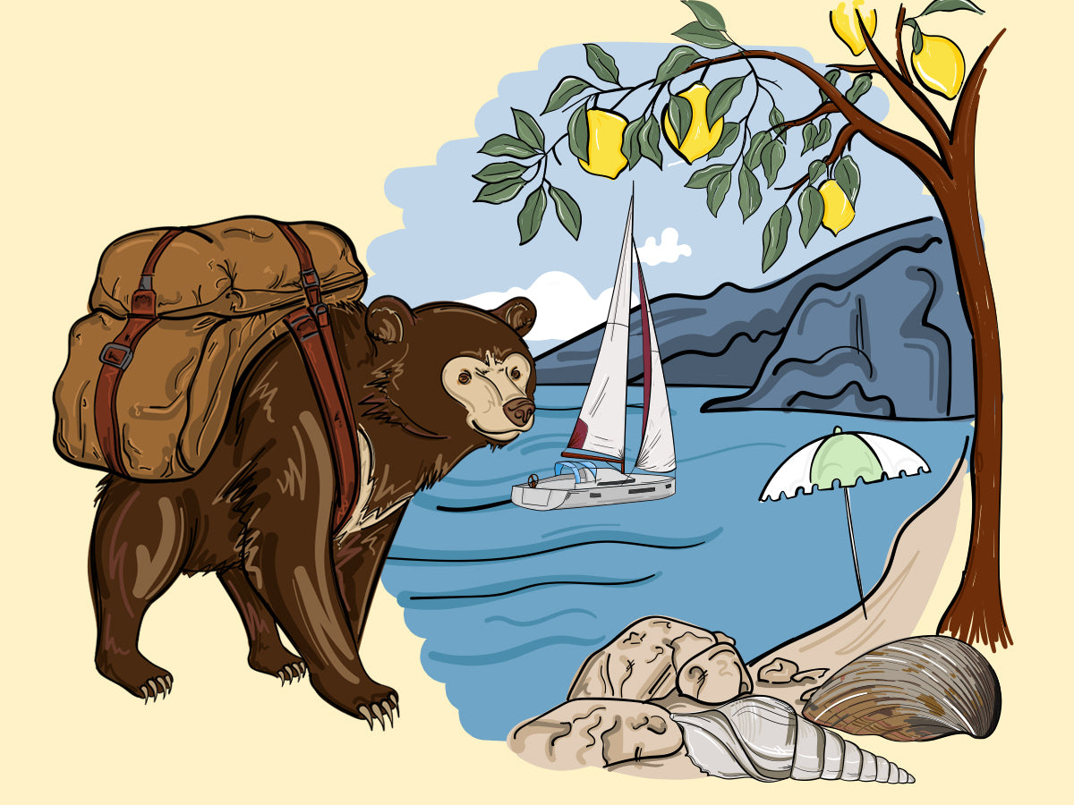 Illustration vom Honigbär auf der Reise in die Herkunft des handgemachten premium Gin NO. 03