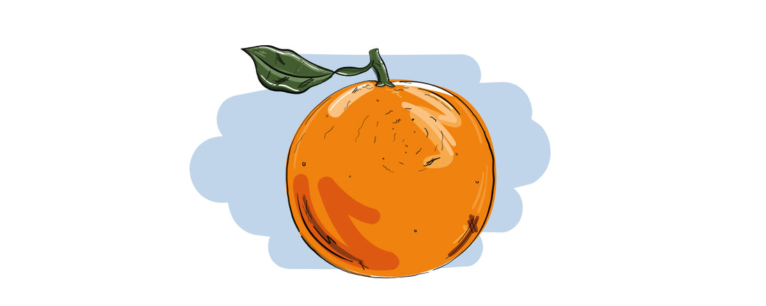 Illustrierte Inge und der Honigbär Ingredients Gin NO. 04 Orange
