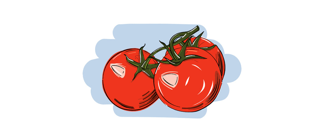 Illustrierte Inge und der Honigbär Ingredients Gin NO. 09 Tomate