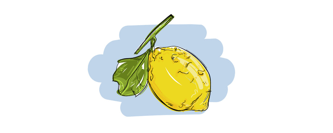 Illustrierte Inge und der Honigbär Ingredients Gin NO. 09 Zitrone