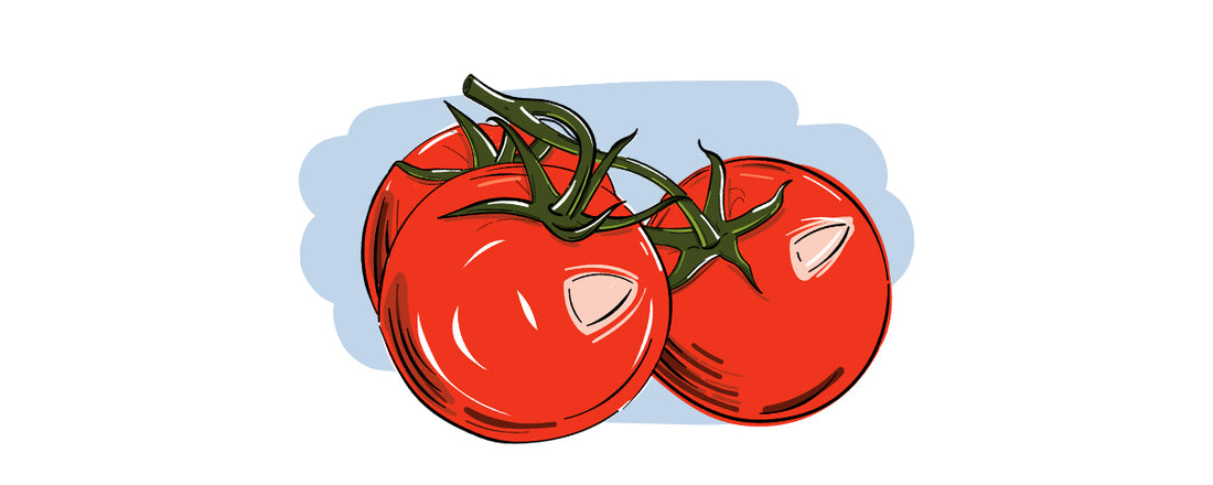 Illustrierte Inge und der Honigbär Ingredients Tomate