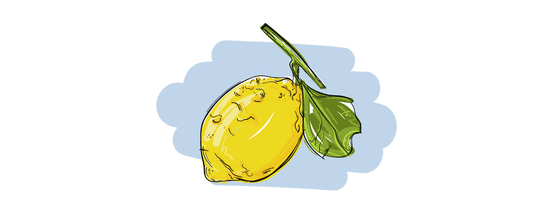 Illustrierte Inge und der Honigbär Ingredients Gin NO. 09 Zitrone