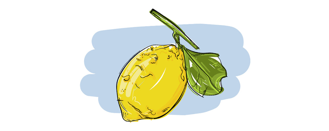 Illustrierte Inge und der Honigbär Ingredients Zitrone